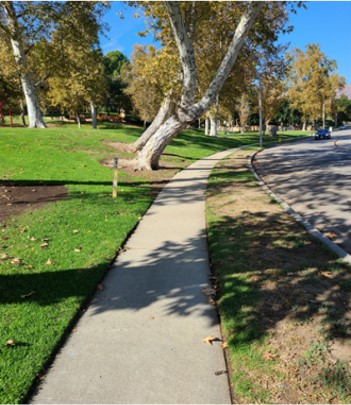 Sidewalk with parkway